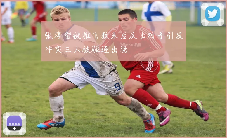 张淳智被推飞数米后反击对手引发冲突三人被驱逐出场